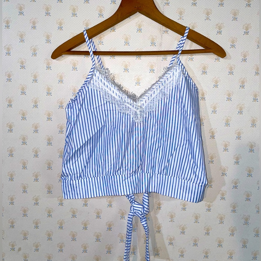Blue and White Striped Lace Accent Crop Top